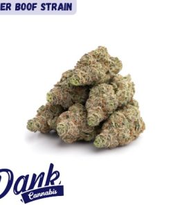 A cluster of lush Super Boof Strain buds stands out against a pristine white background. In the top left corner, "Super Boof Strain" elegantly appears, while "Dank Cannabis" is subtly placed at the bottom.