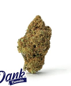 High-quality image of dank cannabis, highlighting the Pineapple Express strain now available for sale